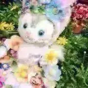 ローラ★プロフ必読★の画像