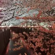 ふぅちゃん