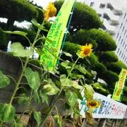ゆーみんの画像