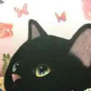 ハコ