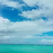 Hanaの画像