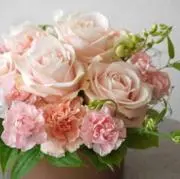 meronshopの画像