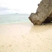 めたもんの画像