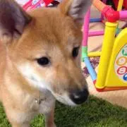 みーさん✳︎断捨離！
