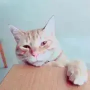 moriの画像
