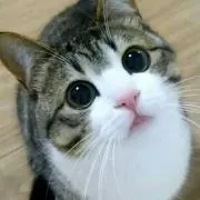 なみ