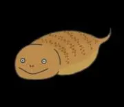 ながむしの画像