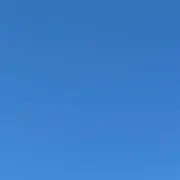 mymauiの画像