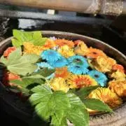 まぴはぴマルシェ