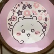 ロッキーの画像
