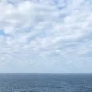 ハピネス