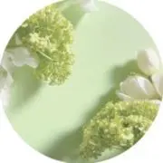 ふゆの画像