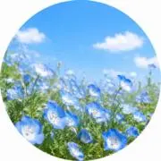 みゆし✨即購入歓迎の画像