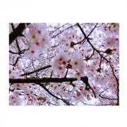 売り切り希望商品！！の画像