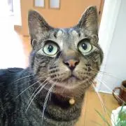 mitueriの画像
