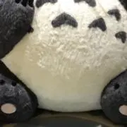 仁の画像