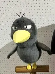 アンビの画像