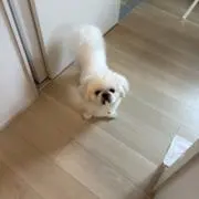 ssuuiiの画像