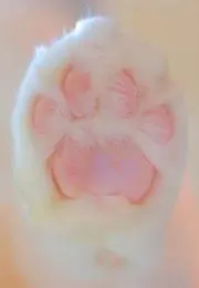 min