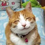 ひいらぎ