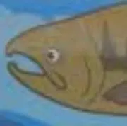 サケ