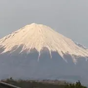 ts