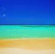 Takako ono