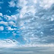 小野寺まどかの画像