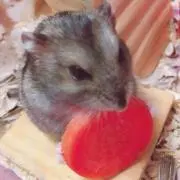 ミッキー