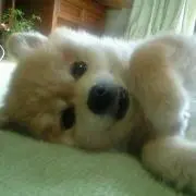 さち
