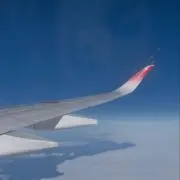 ざびえるの画像