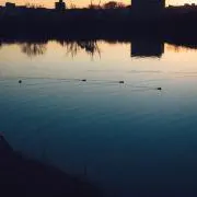 琴葉の画像