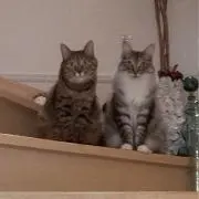 ＊じゅんじゅん＊