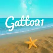 Gatto21★フォロー割ありの画像