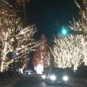 ＪＪ45の画像