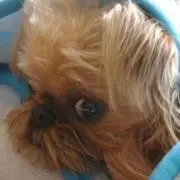 よっしぃ～の画像
