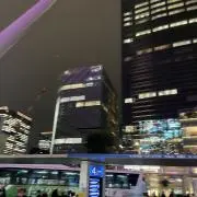 はちの画像