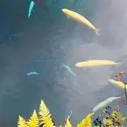 タイムワークスの画像
