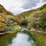 なゆたの画像