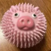 ふゆの画像