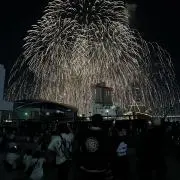 らんの画像