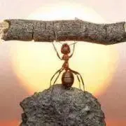 あたまの画像