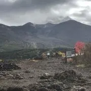 なおたの画像