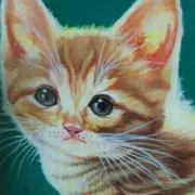 たまきちの画像