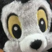 つばさの画像
