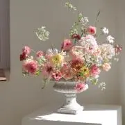 hanaの画像