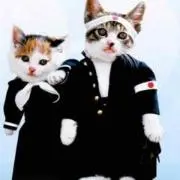 よし☆プロフ必読‼️