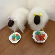 さっちゃんの画像