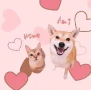 なっちゃん