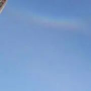 ねこきちの画像